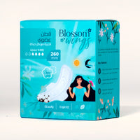 Day Pads 260mm - Moderate Flow, All-Day (10 Count)